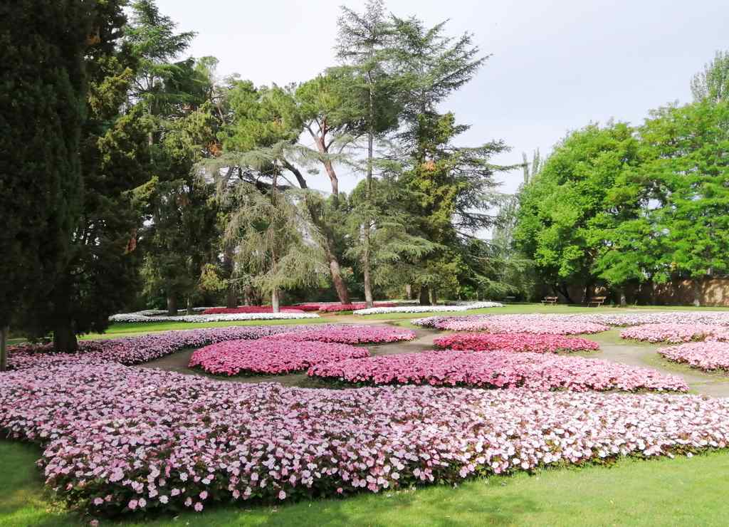 Visitas Parque